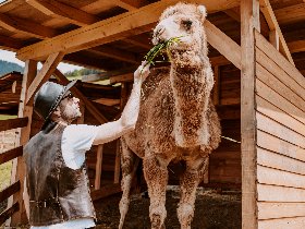 Familienzeit deluxe in den Südtiroler Dolomiten inkl. Halbpension  | 3 Nächte 