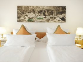 3 Tage Hunde Special im Luxusresort der Extraklasse