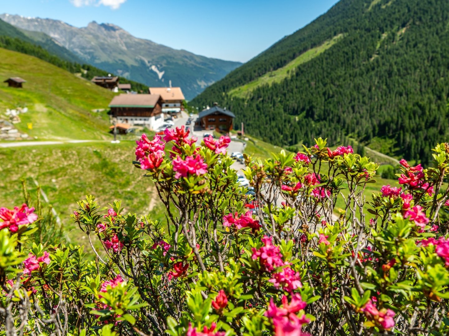Erholungsurlaub inkl. Halbpension und geführten Wanderungen im Tiroler Praxmar | 7 Nächte 