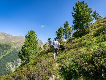 Erholungsurlaub inkl. Halbpension und geführten Wanderungen im Tiroler Praxmar | 7 Nächte 