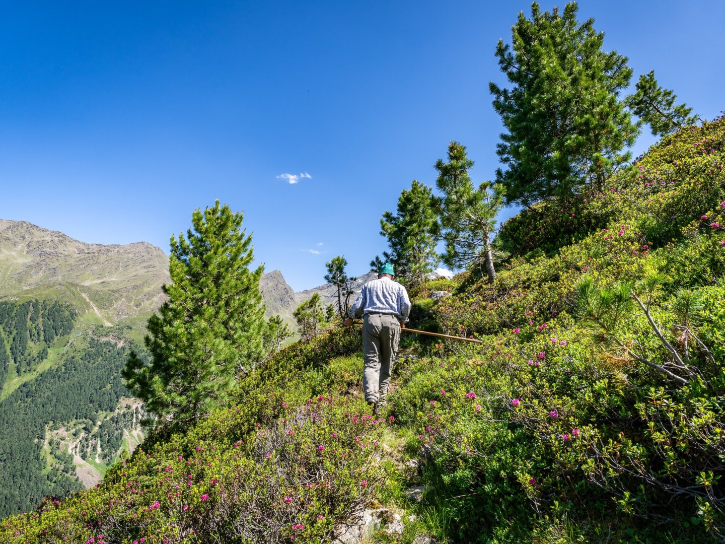 Erholungsurlaub inkl. Halbpension und geführten Wanderungen im Tiroler Praxmar | 7 Nächte 
