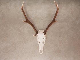 4=3 Special - Goldener August im Stubaital inkl. Sonnenaufgangsfahrt