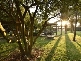 Zwischen Pinienwald und Meer in der Toskana | 2 Nächte