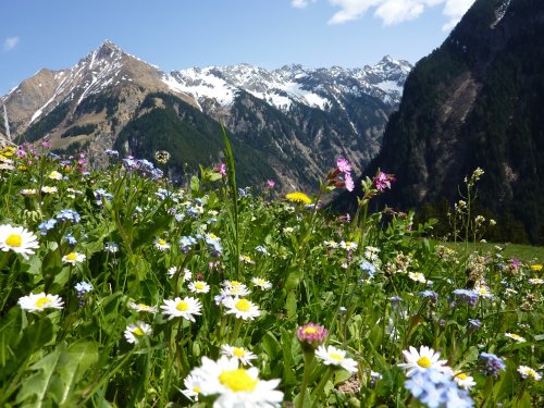 6 Tage Kurzurlaub - Auszeit vom Alltag im Stubaital