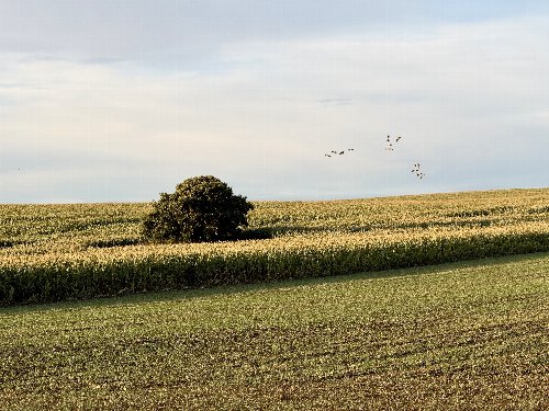 Kurzurlaub am Jasmunder Bodden - Ihre Auszeit im Herbst
