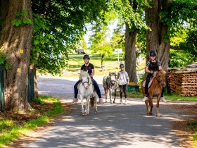 2 Nächte Auszeit auf dem Ferienhof Domäne Groschwitz – Ankommen, Abschalten, Durchatmen 