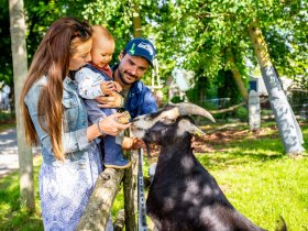 3 Tage Ferienhof-Auszeit in der Natur zwischen Saaletal und Thüringer Wald
