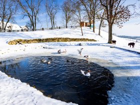 4 Tage Ferienhof-Auszeit in der Natur zwischen Saaletal und Thüringer Wald
