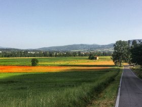 Toskanischer Genuss in Arezzo - 3 Tage / 2 Nächte