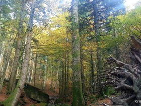 Toskanischer Genuss in Arezzo - 3 Tage / 2 Nächte