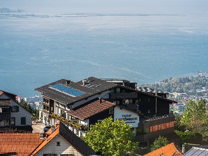 Bodenseepanorama mit Genusshöhepunkt und Weinerlebnis